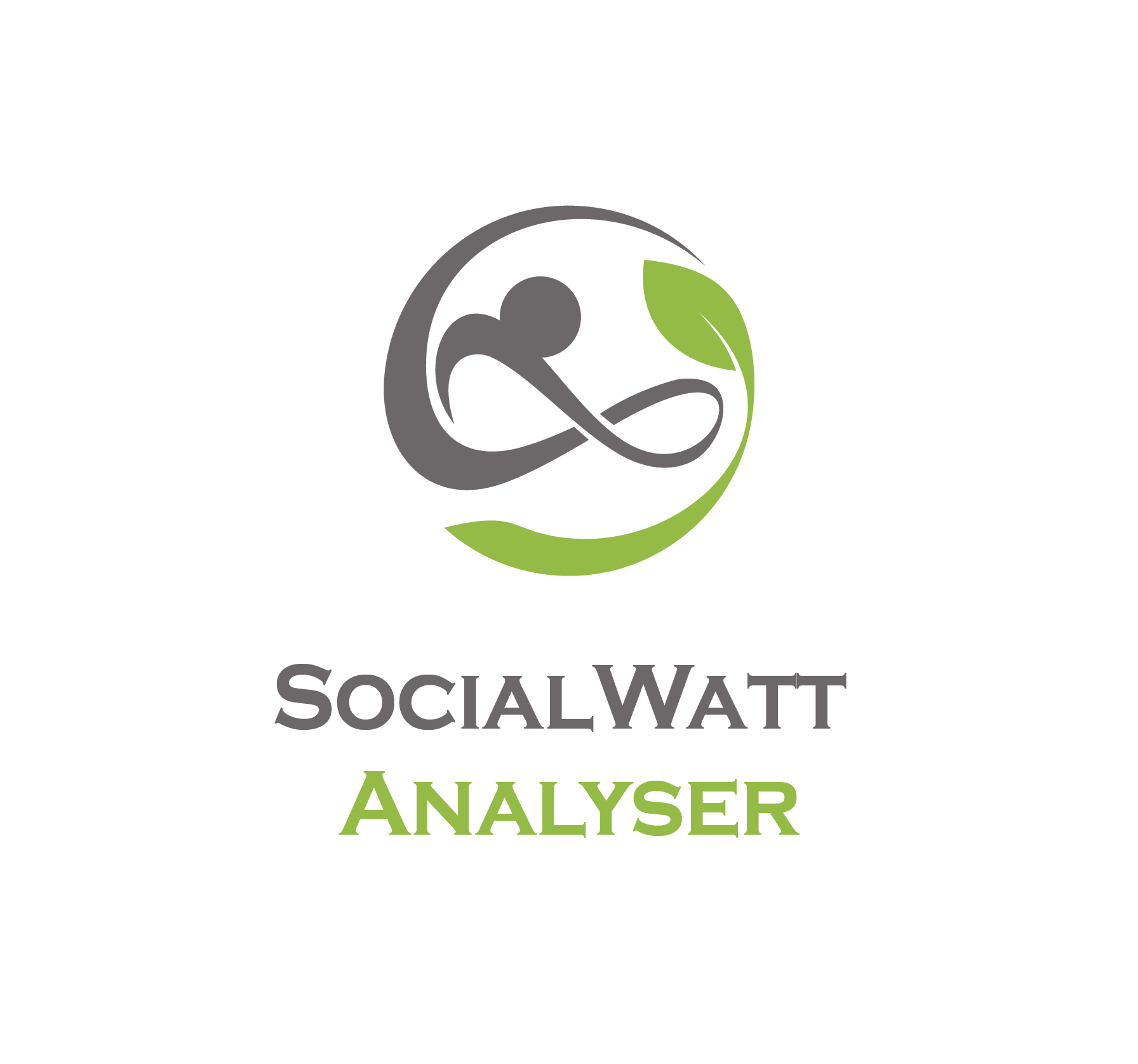 SocialWatt Analyser